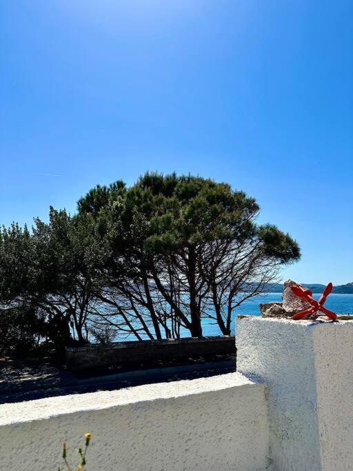 Villetta La Conchiglia La Maddalena  Dış mekan fotoğraf