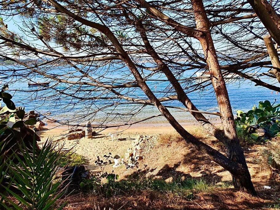 Villetta La Conchiglia La Maddalena  Dış mekan fotoğraf